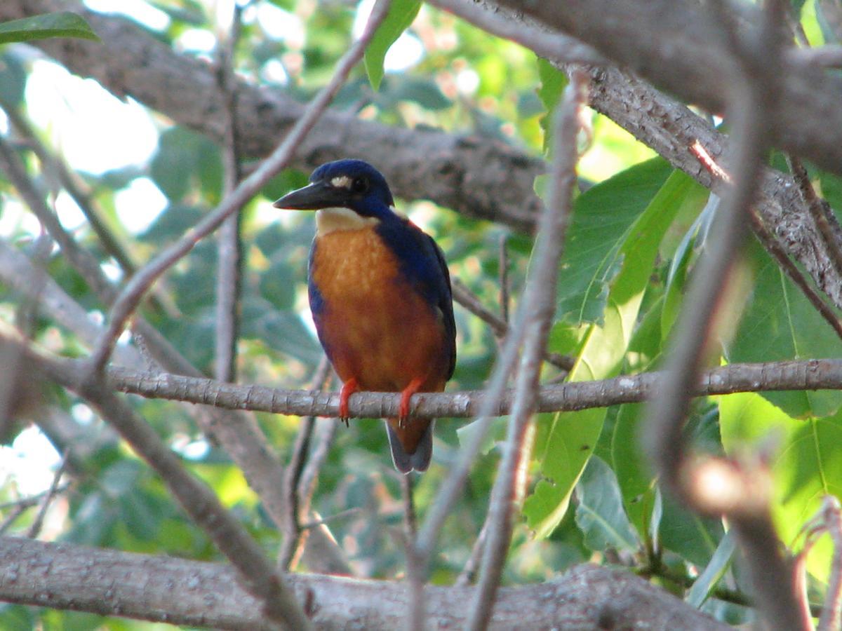 Corroboree Park Tavern Hotel Marrakai Bagian luar foto